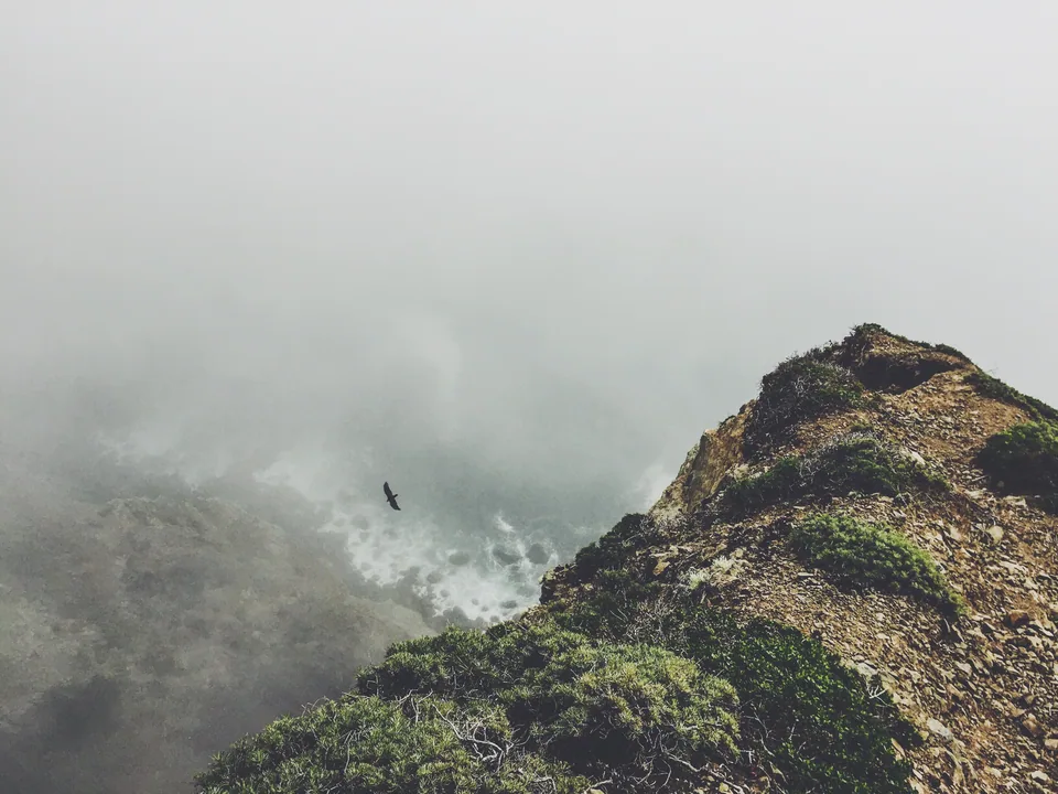 Misty sea cliff (photo from her site)