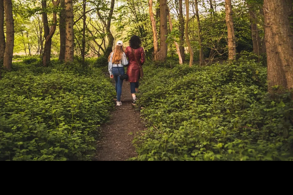Two people walking a forest path, photo from her site