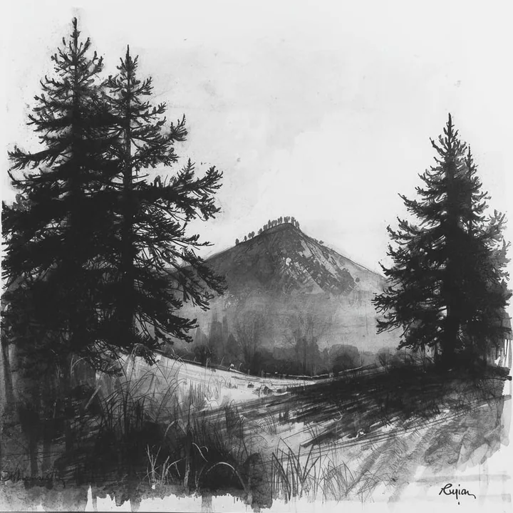 Ink drawing of fir trees before a mountain, the practice's own artwork